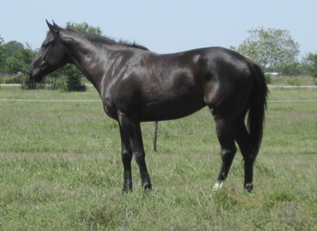 TB filly, Ms Triple Sec, Out of Party Secretary